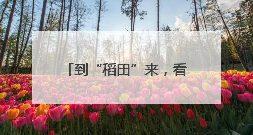 到“稻田”来，看杭州上城20年来“光阴的故事”