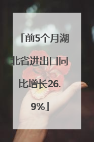 前5个月湖北省进出口同比增长26.9%