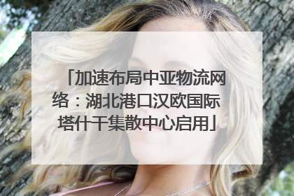 加速布局中亚物流网络：湖北港口汉欧国际塔什干集散中心启用