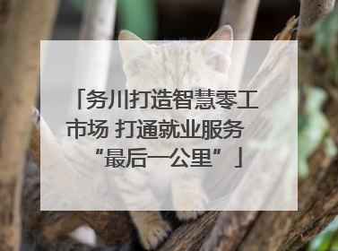 务川打造智慧零工市场 打通就业服务“最后一公里”