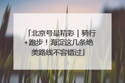 北京号最精彩｜骑行+跑步！海淀这几条绝美路线不容错过