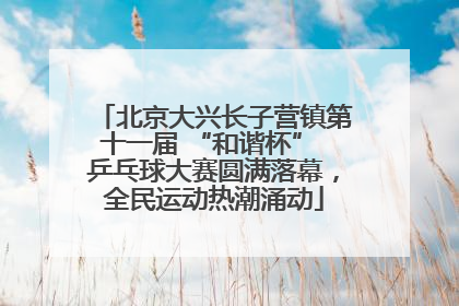北京大兴长子营镇第十一届 “和谐杯” 乒乓球大赛圆满落幕，全民运动热潮涌动