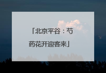 北京平谷：芍药花开迎客来