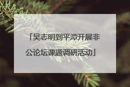 吴志明到平潭开展非公论坛课题调研活动