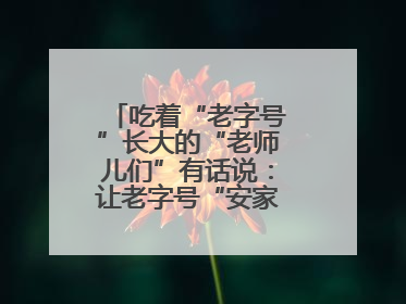 吃着“老字号”长大的“老师儿们”有话说：让老字号“安家”更“兴业”