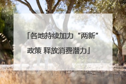 各地持续加力“两新”政策 释放消费潜力