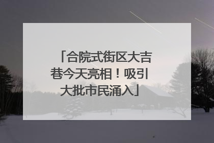 合院式街区大吉巷今天亮相！吸引大批市民涌入
