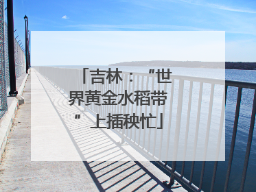 吉林：“世界黄金水稻带”上插秧忙