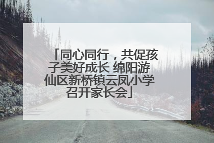 同心同行，共促孩子美好成长 绵阳游仙区新桥镇云凤小学召开家长会