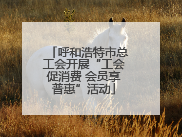 呼和浩特市总工会开展“工会促消费 会员享普惠”活动