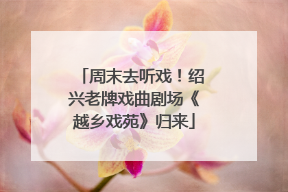 周末去听戏！绍兴老牌戏曲剧场《越乡戏苑》归来