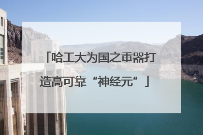哈工大为国之重器打造高可靠“神经元”