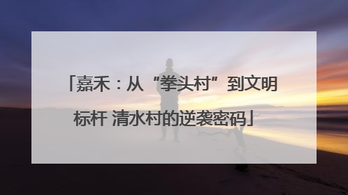 嘉禾：从“拳头村”到文明标杆 清水村的逆袭密码