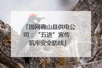 国网确山县供电公司：“五进”宣传 筑牢安全防线