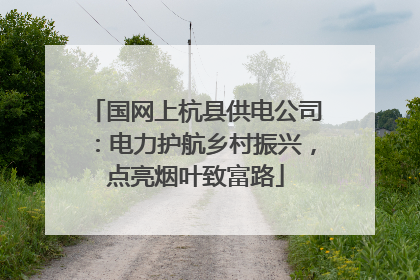 国网上杭县供电公司：电力护航乡村振兴，点亮烟叶致富路