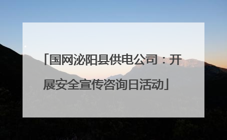 国网泌阳县供电公司：开展安全宣传咨询日活动