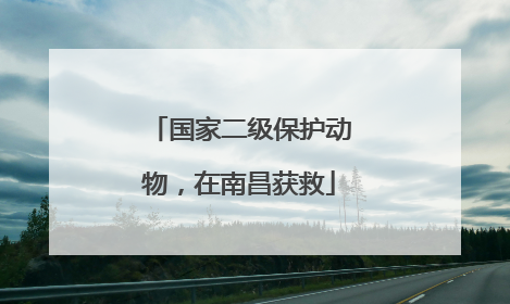 国家二级保护动物，在南昌获救