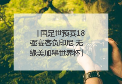 国足世预赛18强赛客负印尼 无缘美加墨世界杯