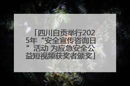 四川自贡举行2025年“安全宣传咨询日”活动 为应急安全公益短视频获奖者颁奖