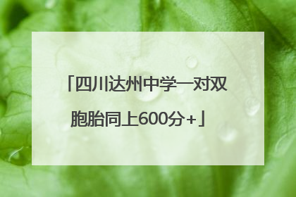 四川达州中学一对双胞胎同上600分+