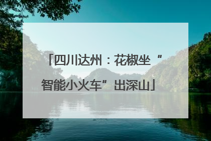 四川达州：花椒坐“智能小火车”出深山