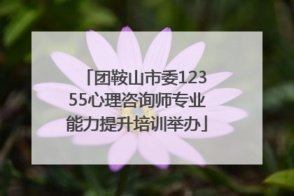 团鞍山市委12355心理咨询师专业能力提升培训举办