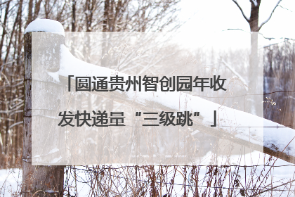 圆通贵州智创园年收发快递量“三级跳”