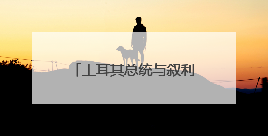 土耳其总统与叙利亚政权领导人就双边关系等举行会谈