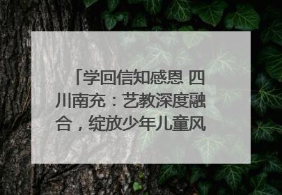 学回信知感恩 四川南充：艺教深度融合，绽放少年儿童风采｜您牵挂的四川