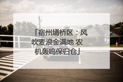 宿州埇桥区：风吹麦浪金满地 农机轰鸣保归仓