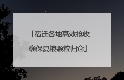 宿迁各地高效抢收 确保夏粮颗粒归仓