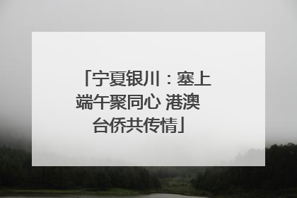 宁夏银川：塞上端午聚同心 港澳台侨共传情