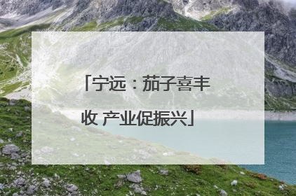 宁远：茄子喜丰收 产业促振兴