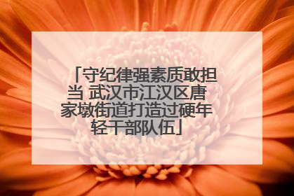 守纪律强素质敢担当 武汉市江汉区唐家墩街道打造过硬年轻干部队伍