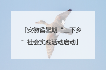 安徽省暑期“三下乡”社会实践活动启动