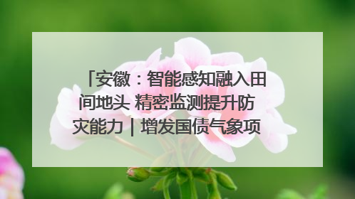 安徽：智能感知融入田间地头 精密监测提升防灾能力｜增发国债气象项目落地见效系列报道