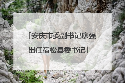 安庆市委副书记廖强出任宿松县委书记
