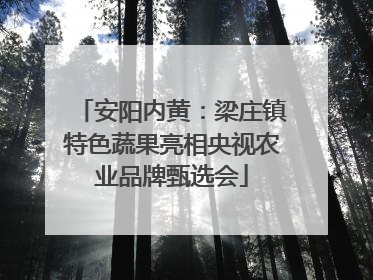 安阳内黄：梁庄镇特色蔬果亮相央视农业品牌甄选会