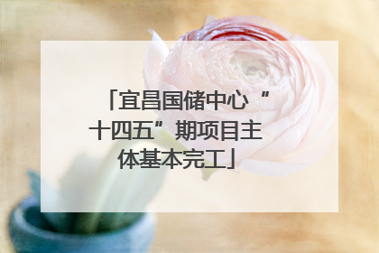 宜昌国储中心“十四五”期项目主体基本完工