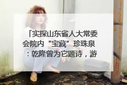 实探山东省人大常委会院内“宝藏”珍珠泉：乾隆曾为它题诗，游客无需预约免费游览
