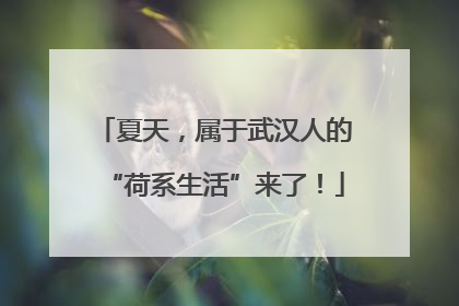 夏天，属于武汉人的“荷系生活”来了！