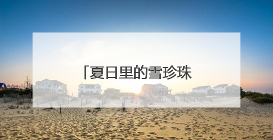 夏日里的雪珍珠——华北珍珠梅