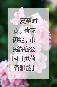 夏至时节，荷花初绽，市民游客公园寻觅荷香雅韵