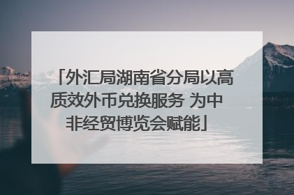 外汇局湖南省分局以高质效外币兑换服务 为中非经贸博览会赋能