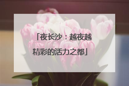 夜长沙：越夜越精彩的活力之都