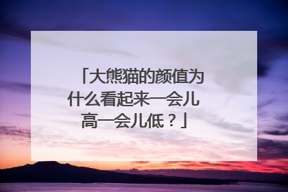 大熊猫的颜值为什么看起来一会儿高一会儿低？
