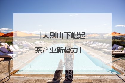 大别山下崛起茶产业新势力