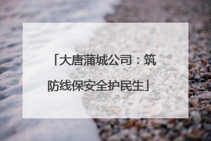 大唐蒲城公司：筑防线保安全护民生