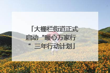 大栅栏街道正式启动“暖心万家行”三年行动计划