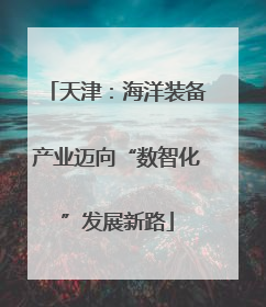 天津：海洋装备产业迈向“数智化”发展新路
